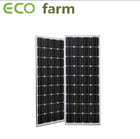 2022s Top 4 Solar-Panels for Greenhouse