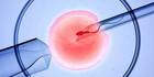 In Vitro Fertilization (IVF) Market Share, Size to 2031