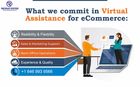 Ecommerce Virtual Assistant - Renown System