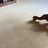 Carpet Cleaning  Belconnen