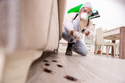                               Effective Pest Control Measures