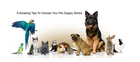 8 Amazing Tips To Choose Your Pet Supply Stores