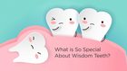 What Makes Wisdom Teeth So Special?