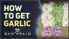 Where To Get Garlic In New World