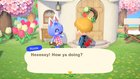 Animal Crossing Items the whole lot you want to realize