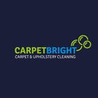 Why Professional Carpet Cleaning is Worth the Investment